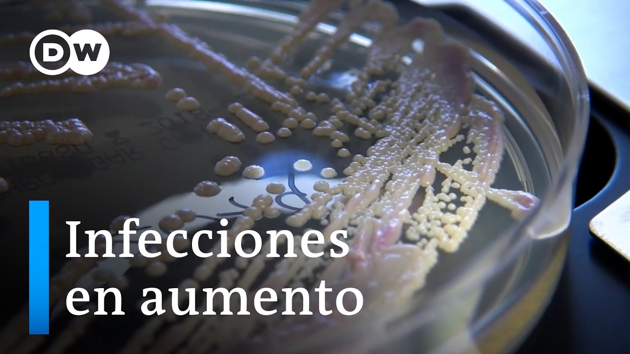 Cuando los hongos nos enferman