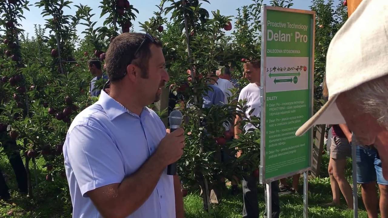 Delan Pro - dr Jacek Lewko - BASF - [Wilanów 04/09/2016]