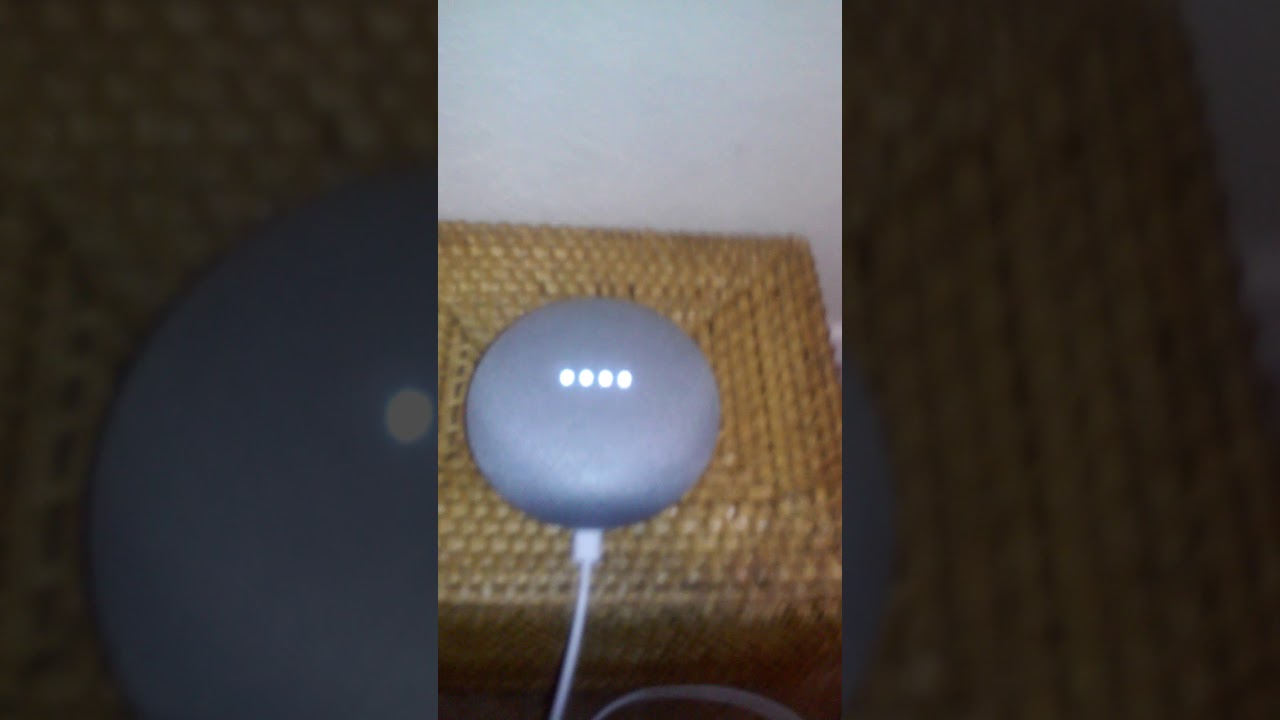 Google home sings
