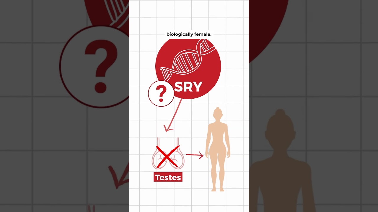 The problem with mandatory gene testing for women athletes