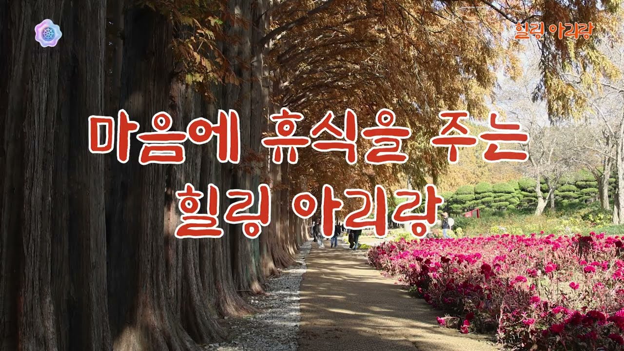 힐링아리랑 | 마음에 휴식을 주는 | Healing Arirang #아리랑 #힐링 #k명상 #휴식