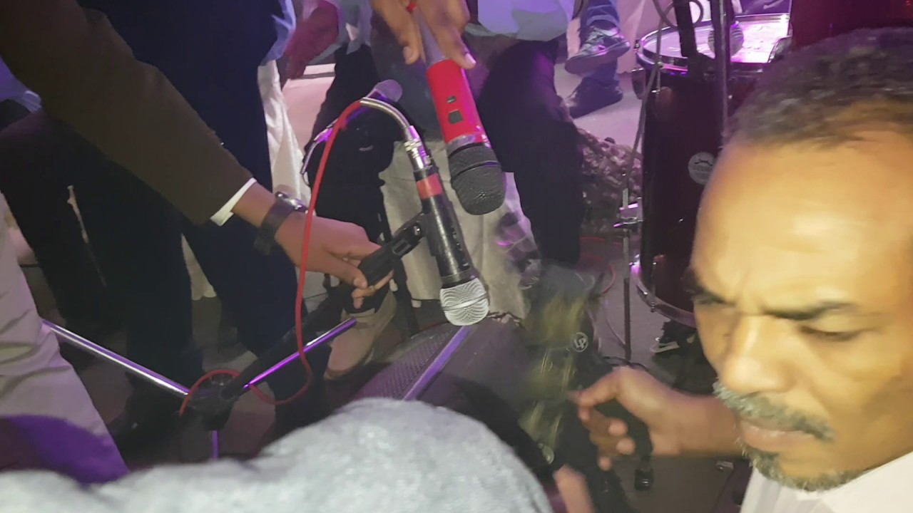 الفنان عاصم البنا