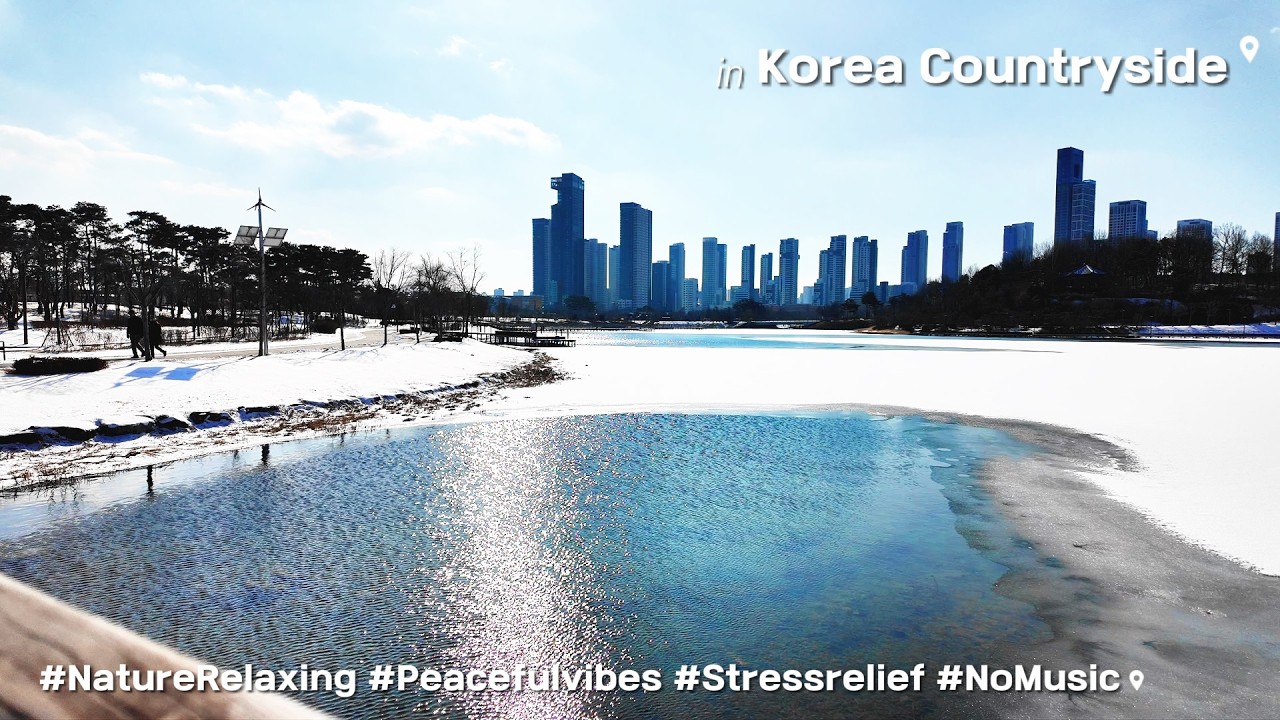 4K | Winter in Korea: Snowy Lake Park ☃️❄️ 