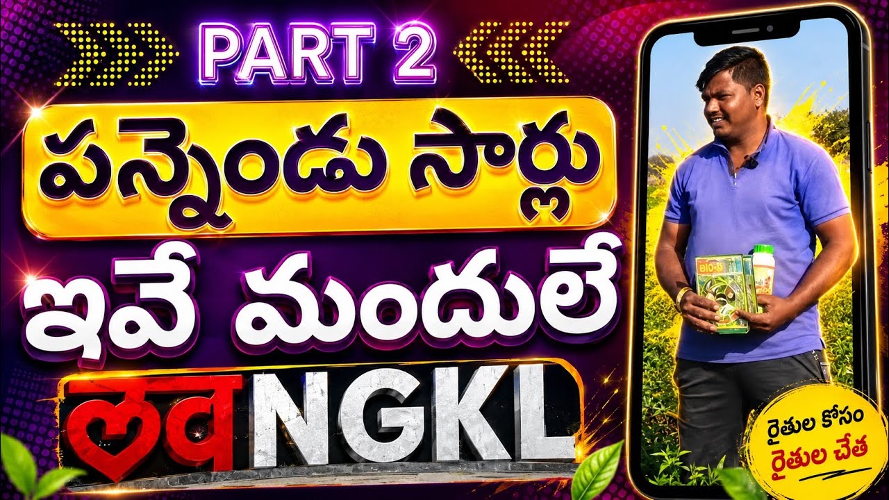 #part2 🌶️🌶️ఒకే మిరప పొలం💪🏻💥-పన్నెండు సార్లు 👌🔥ఒకే రకం మందులు🔱#redchilli #chilli #farming #telangana