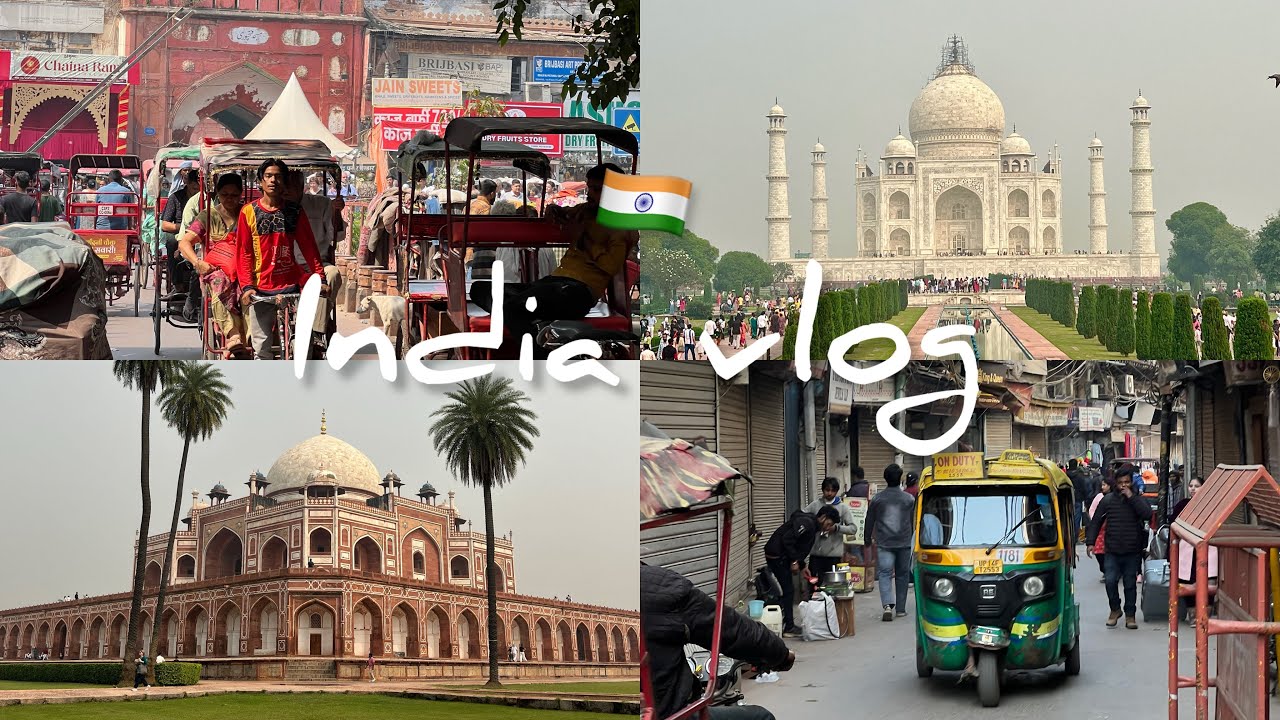 印度vlog 🇮🇳 德里月光集市街頭小吃｜阿格拉一日遊 泰姬瑪哈陵
