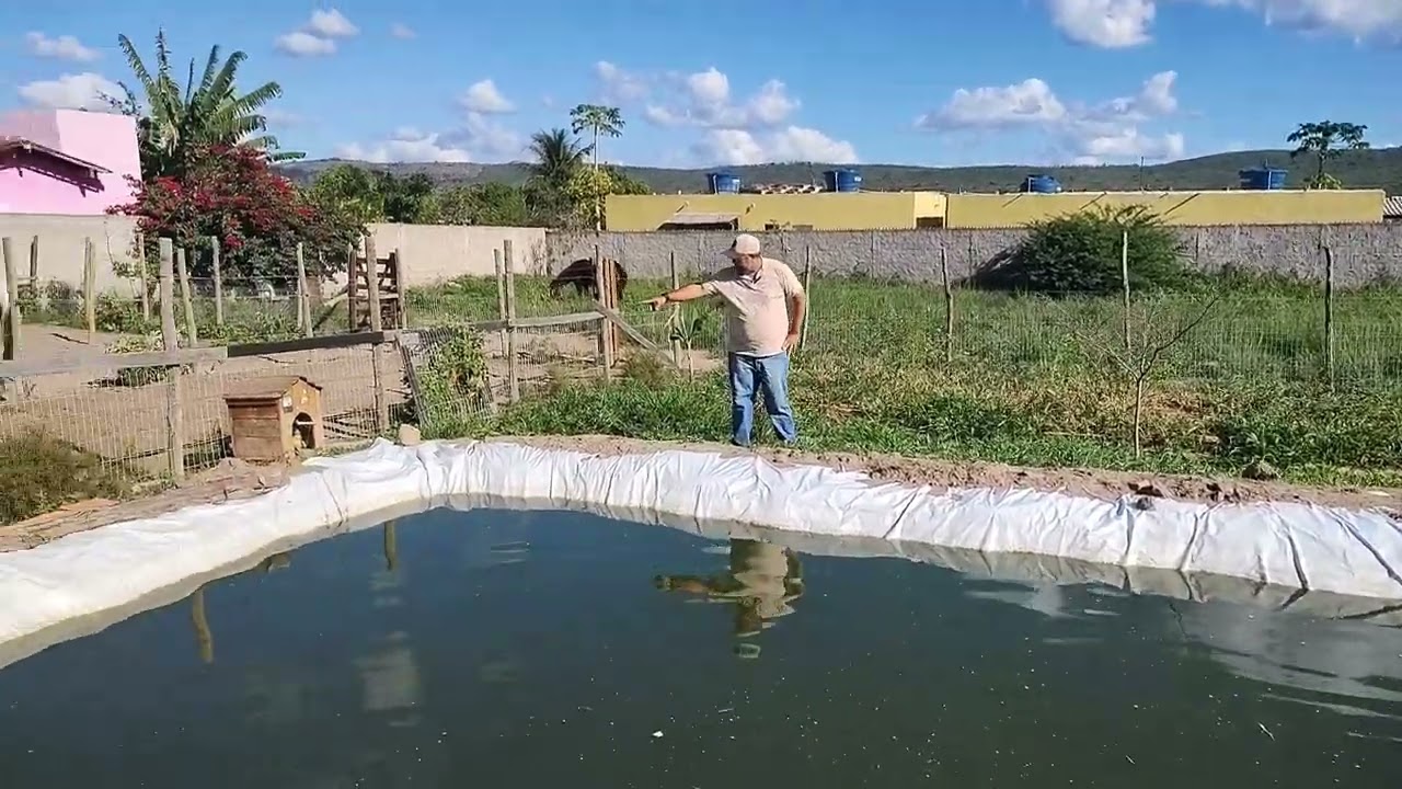 Passo a passo como fazer um tanque de tilápia. #tilapia #agro #peixes #vidanaroça #vidanocampo