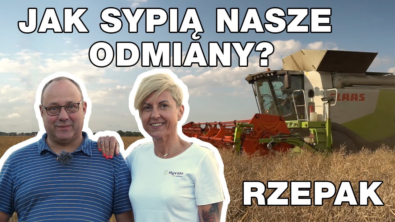 ŻNIWA RZEPAKU 2020 w województwie zachodniopomorskim. Ile nam sypnęło?