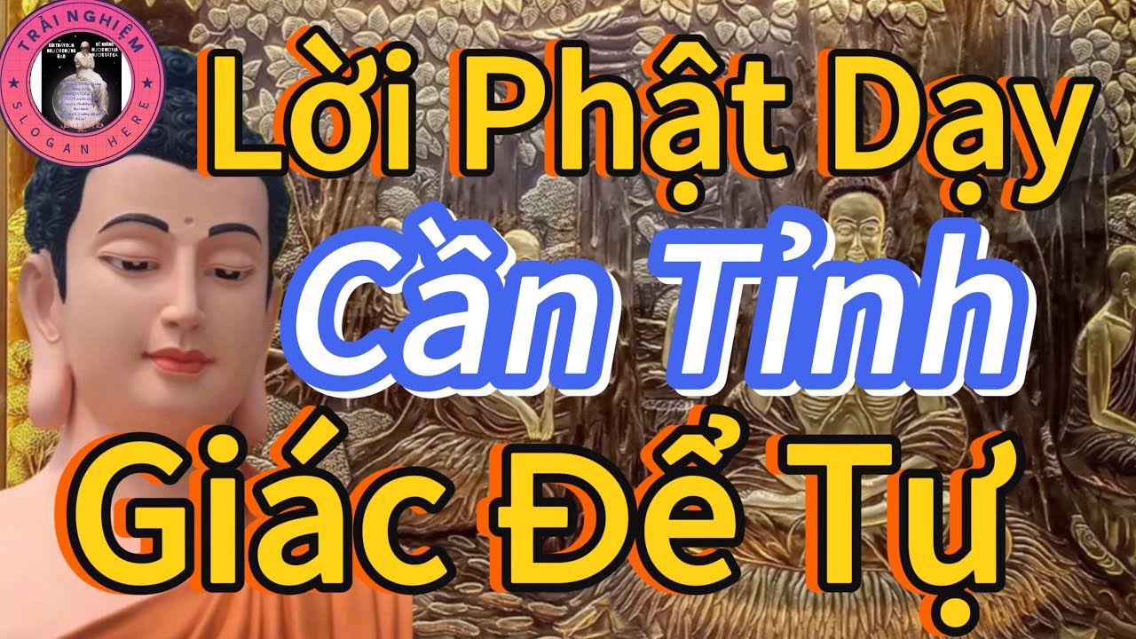 Cần Tỉnh Giác,Để Tự Giải Thoát Chính Mình 