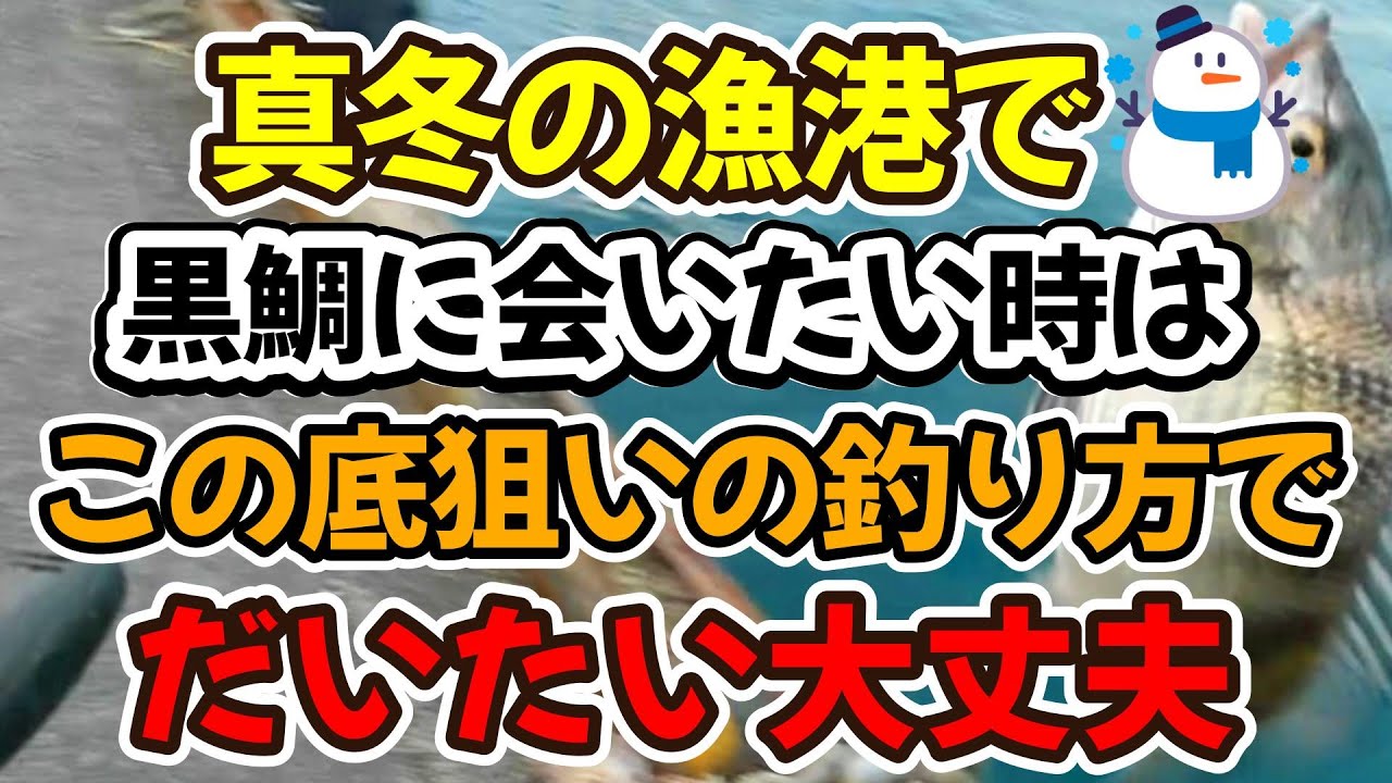 真冬の漁港で黒鯛に会いたい時は、この底狙いの釣り方で、だいたい大丈夫(仕掛け解説あり）