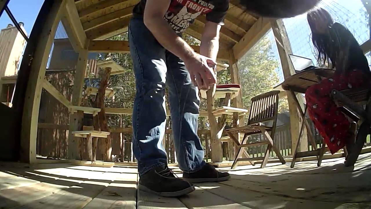 Ari Cam: Initial Test