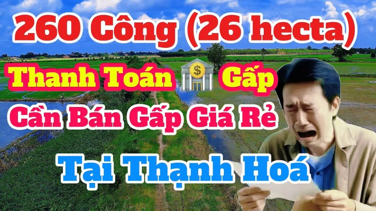 (Số 828) 26hecta 👉Chủ Quá Kẹt Tiền🏦  Cần Bán Gấp  Chỉ 100triệu-Lô Đất Siêu Đẹp-Giảm giá Mạnh 
