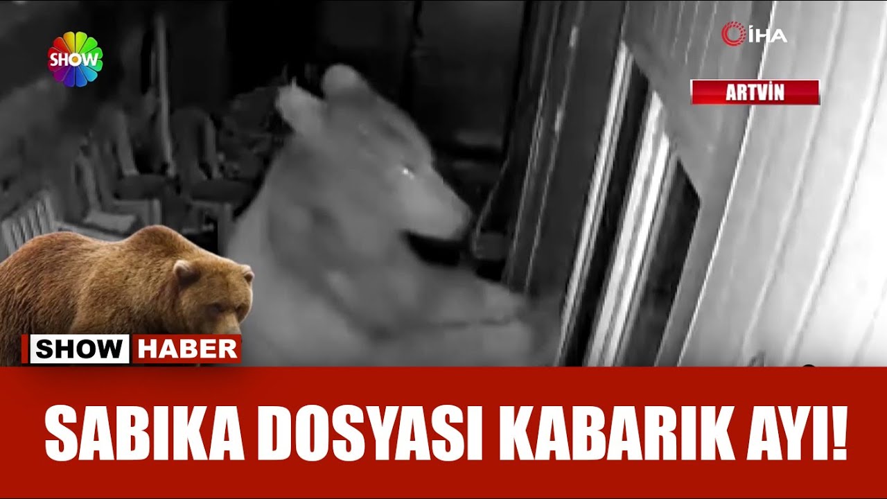 Vahşi hayvan kapıya dayandı!