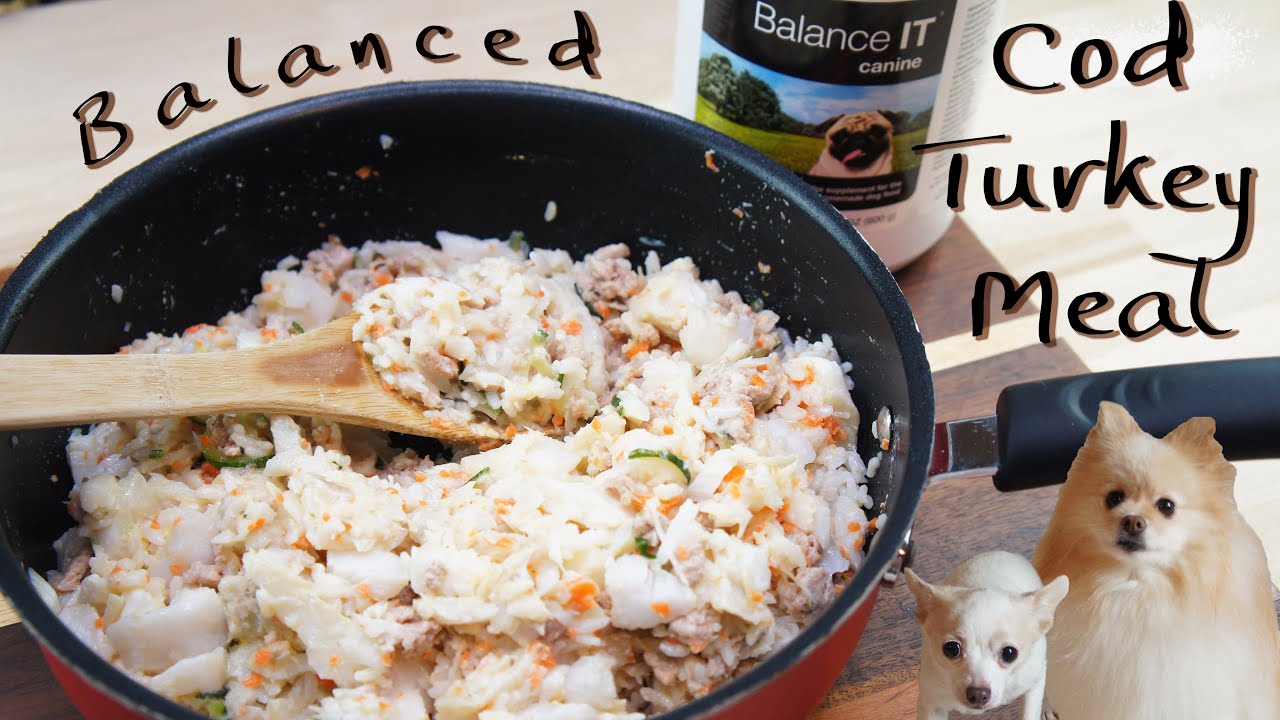 Cod Turkey Meal Recipe | Homemade Dog Food | Balance IT Recipe | MyPetcipe