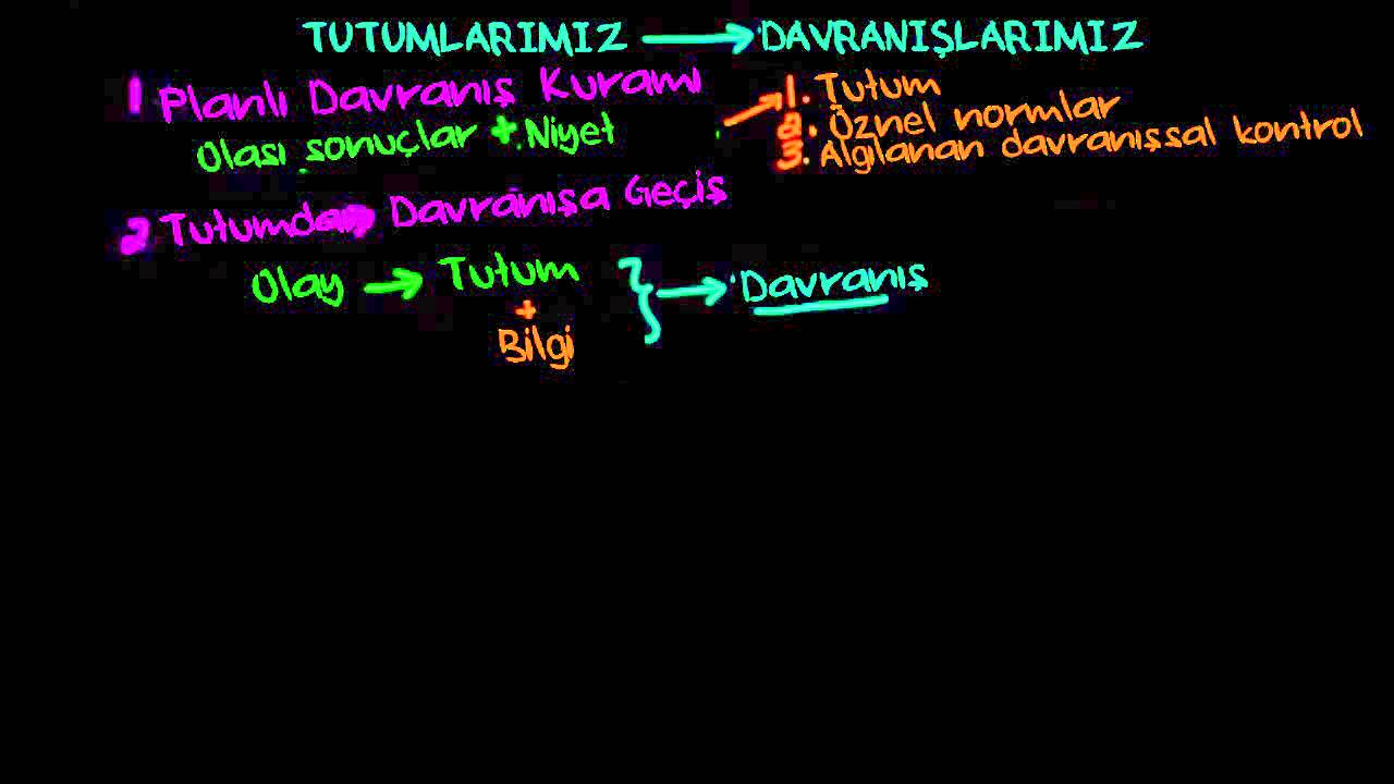 Tutumun Davranışa Etkisi (Psikoloji / Davranış)