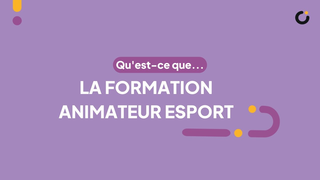 Qu'est-ce que la formation animateur, animatrice esport ?