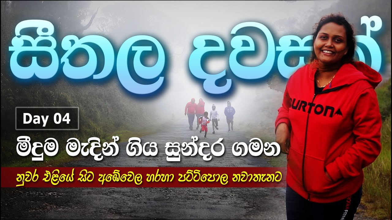 අඹේවෙල හරහා පට්ටිපොළ නවාතැනට ( Ambewela - Pattipola ) Amila Family ~ Nuwara Eliya  Day 04