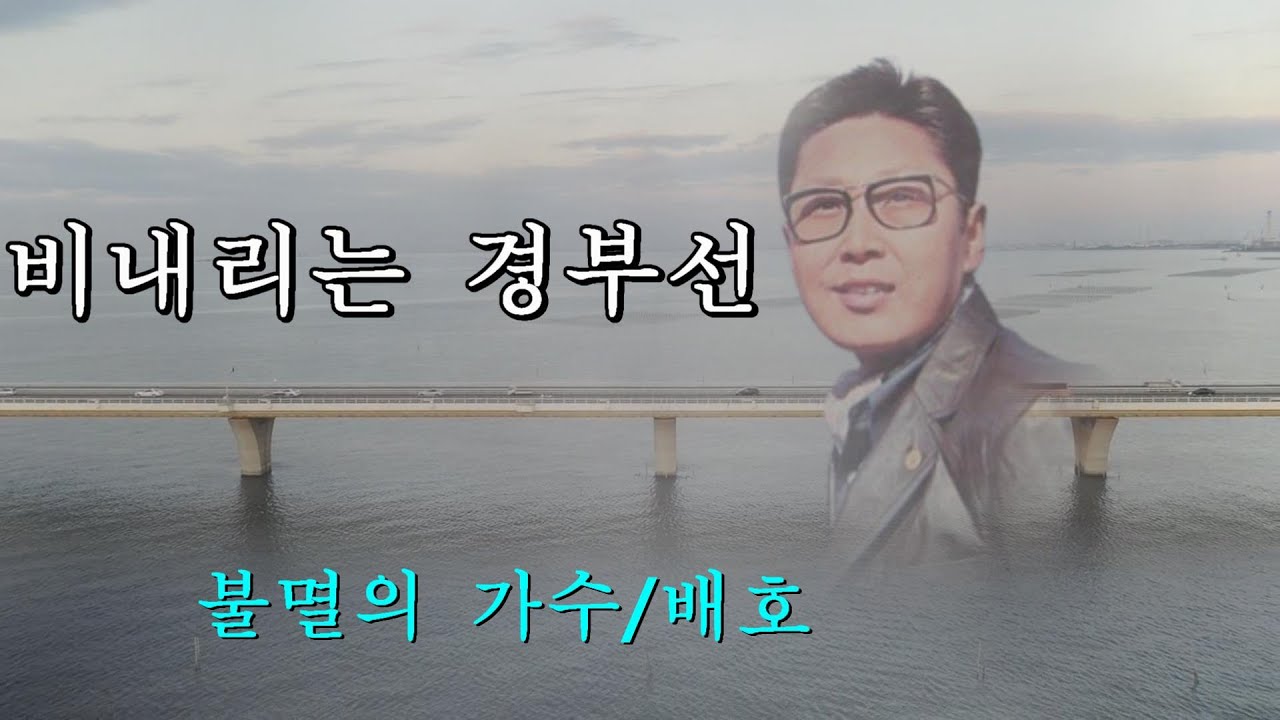 비내리는 경부선 - 배호