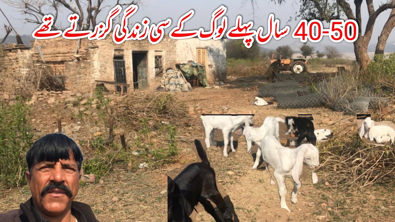 40-50 Sal phla log kasa zindagi guzar ta tha 😍