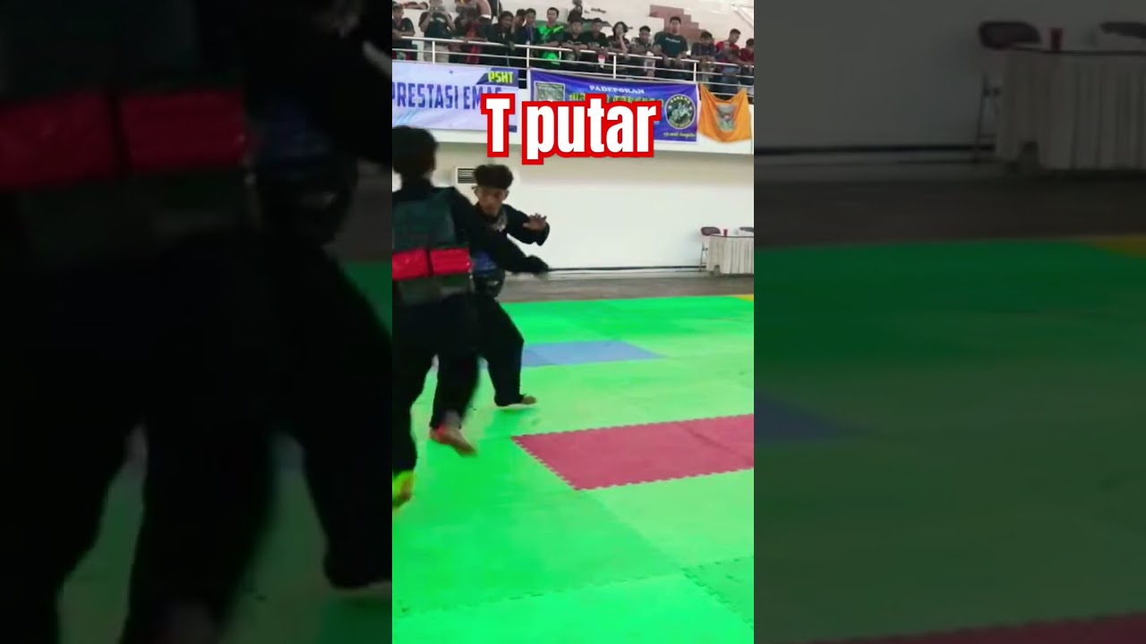 T putar Highlight pencak silat #pencaksilat #persilat #psht #shorts