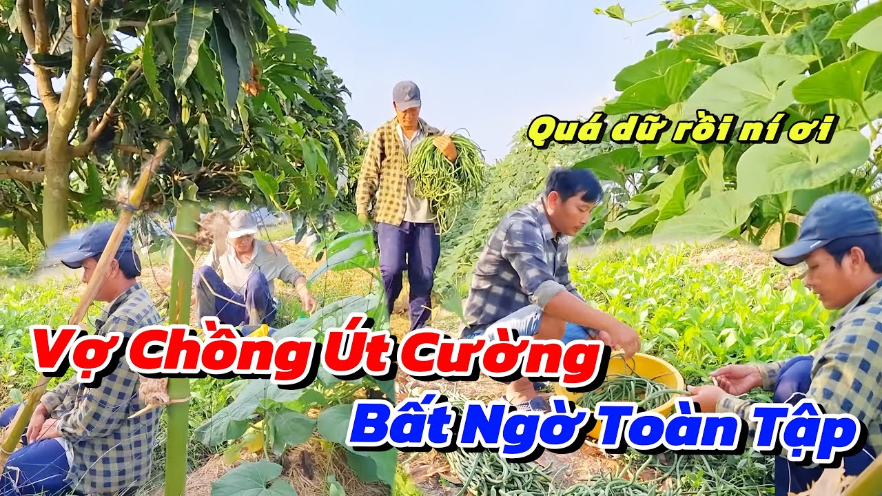 Ra Thăm Lại Mảnh Vườn Vợ Chồng Út Cường Được 1 Phen Bất Ngờ Toàn Tập Khi Chứng Kiến Cảnh Này