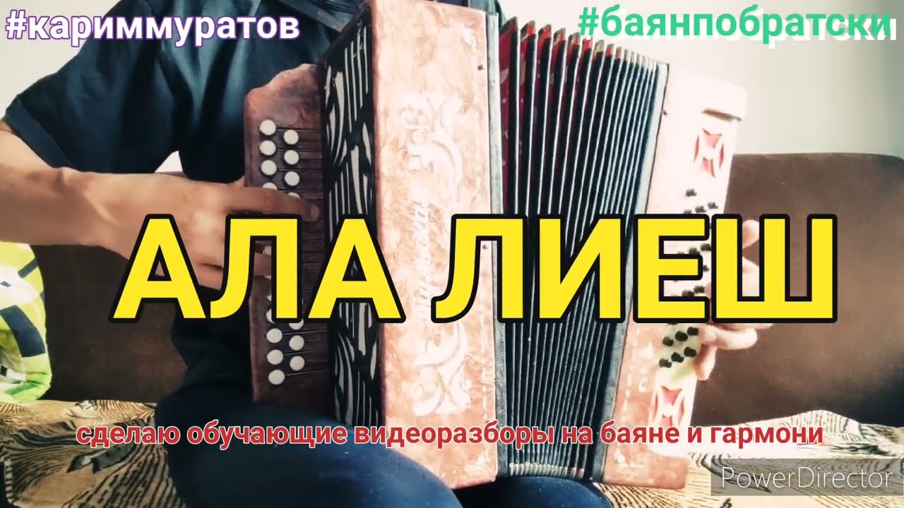 АЛА ЛИЕШ - ОБУЧАЮЩИЙ ВИДЕОРАЗБОР НА ГАРМОНИ ЦИФРАМИ #кариммуратов #баянпобратски