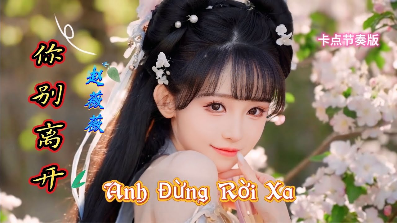 你别离开 Anh Đừng Rời Xa 赵薇薇 vs 好听吗 (卡点节奏版) Hot Tiktok Douyin 2025