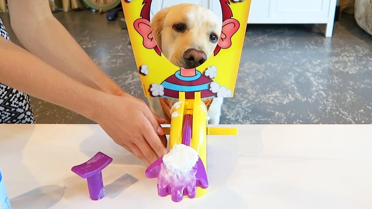PUPPY vs PIE FACE GAME (Super Cooper Sunday #107)