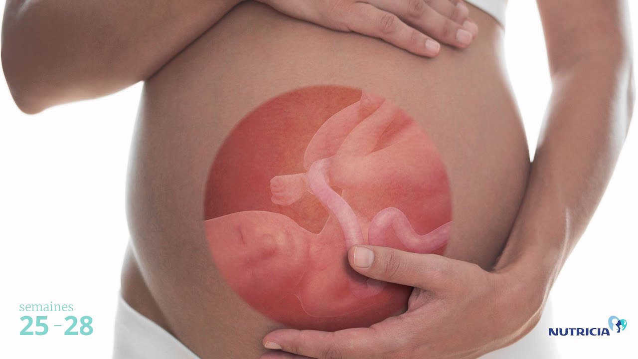 Bienvenue au voyage de la grossesse | Nutricia
