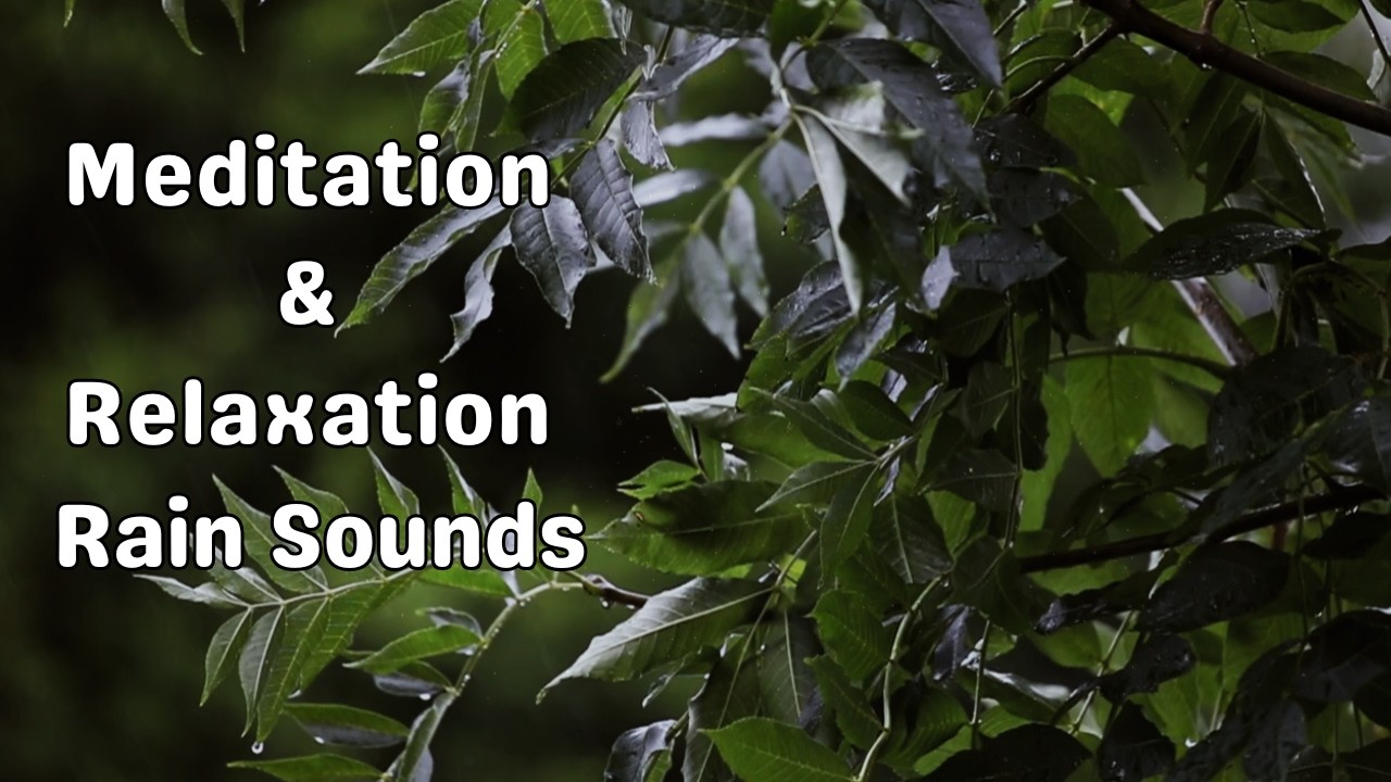 30 Minutes White Noise Rain Sounds for Sleeping & Studying | Deep Focus