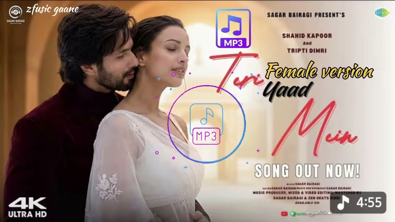 female version ( DIL KI BAATEIN ) Heart touching Felling song 2026 