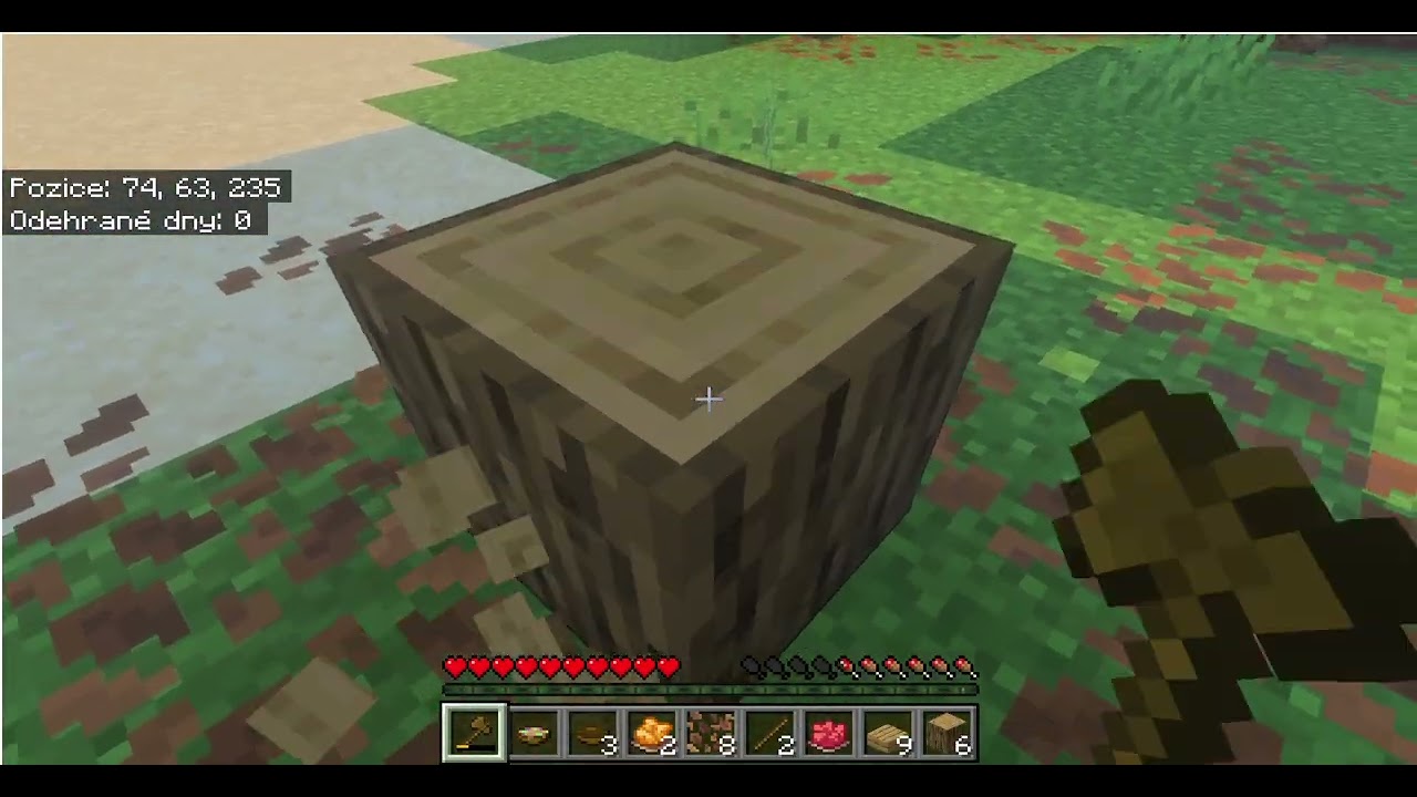 Minecraft pt.1