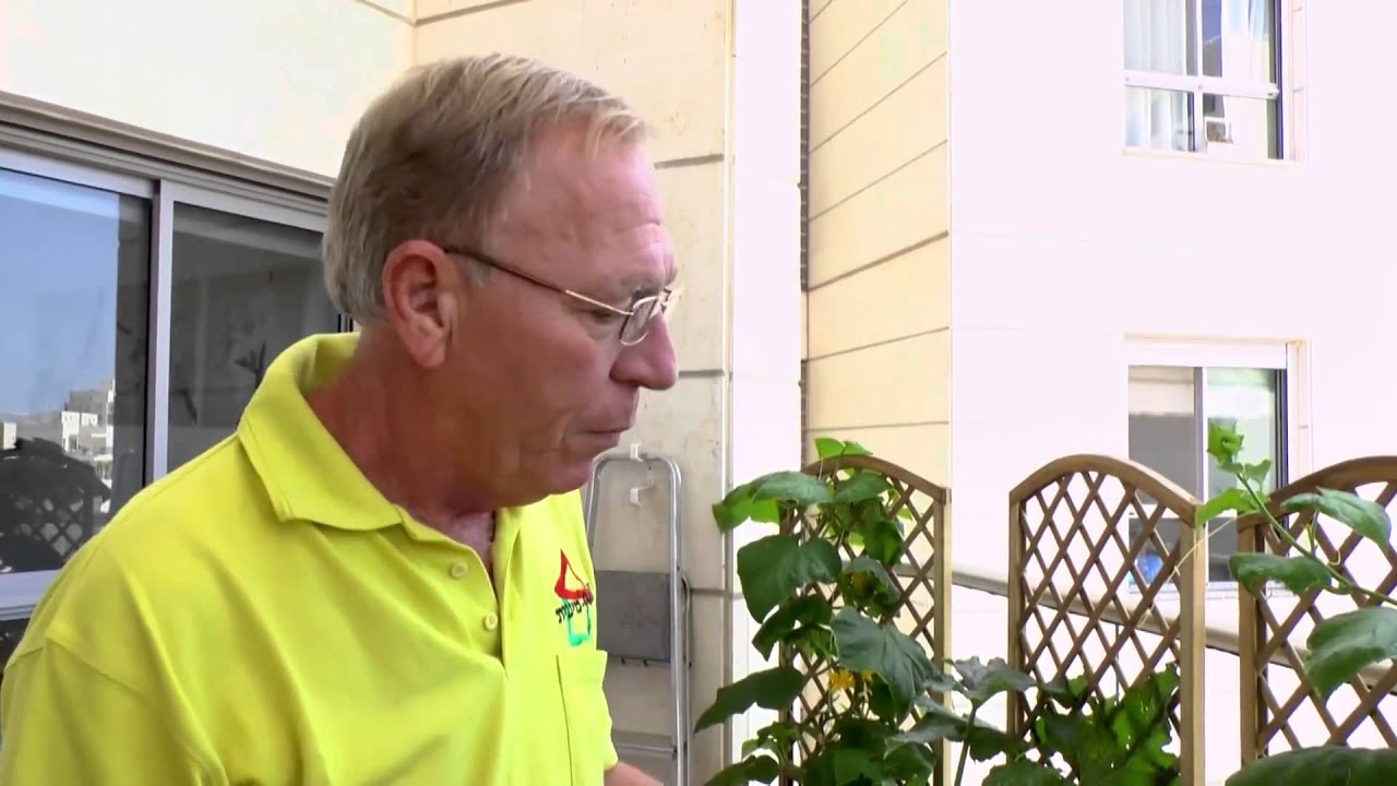 גינת ירק ביתית במרפסת שגם נותנת צל ופרטיות מהשכנים - צוות גדרון 03-9349801