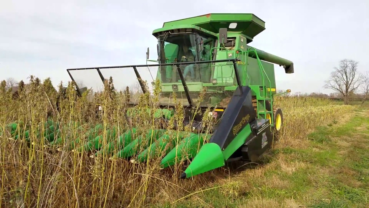 Hemp Seed Harvest - Kentucky 2018 - The SuperCrop® Hemp Header