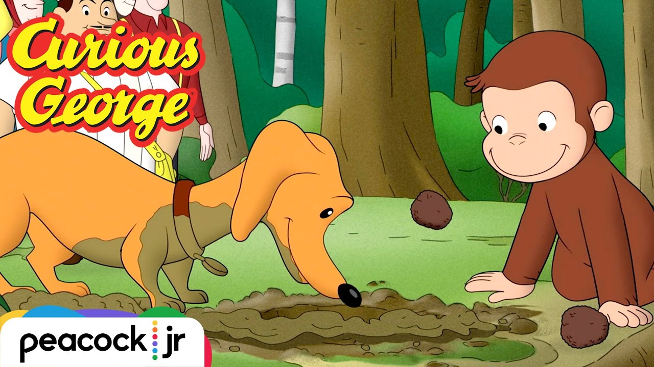 George Forages in the Forest | CURIOUS GEORGE