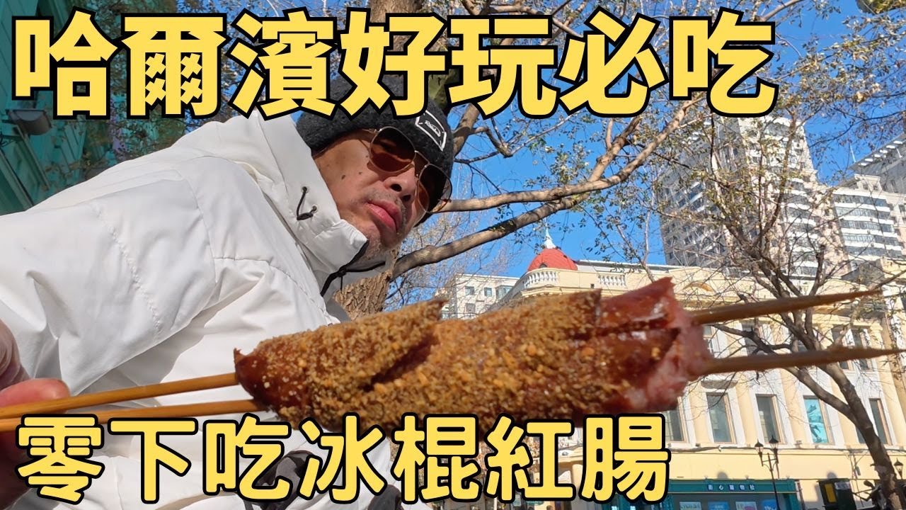 哈爾濱美食獨旅北國冬日趴趴走！東北虎園＊中央大街！吃遍哈爾濱的各種好料必去景點！＃哈爾濱東北虎林園＃中央大街＃黑龍江省哈爾濱市