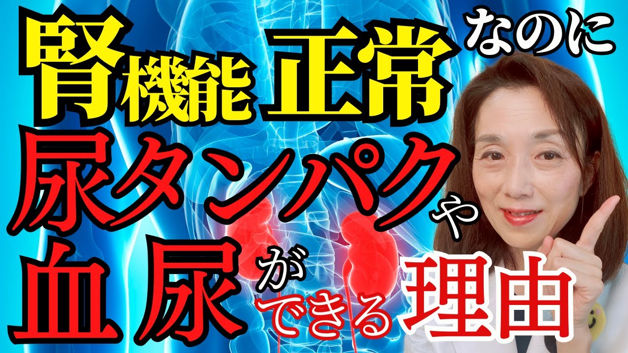 腎機能が正常なのに尿タンパクや血尿がでる理由