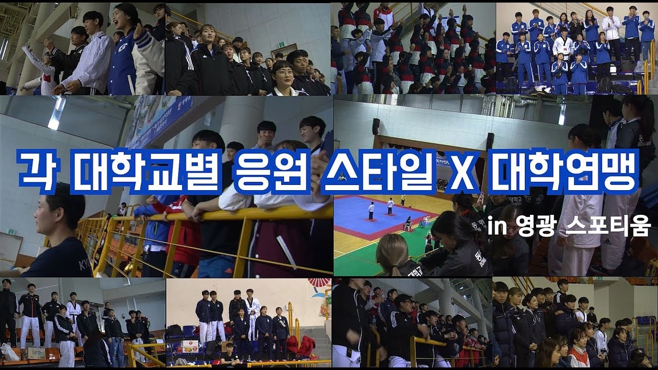 [대학연맹 in 영광 스포티움] 대학교 별 태권도 경기장 내 인싸응원법은?