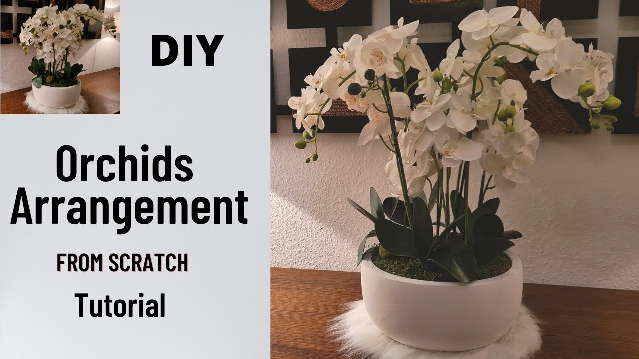How to Make a Stunning Orchid Arrangement!