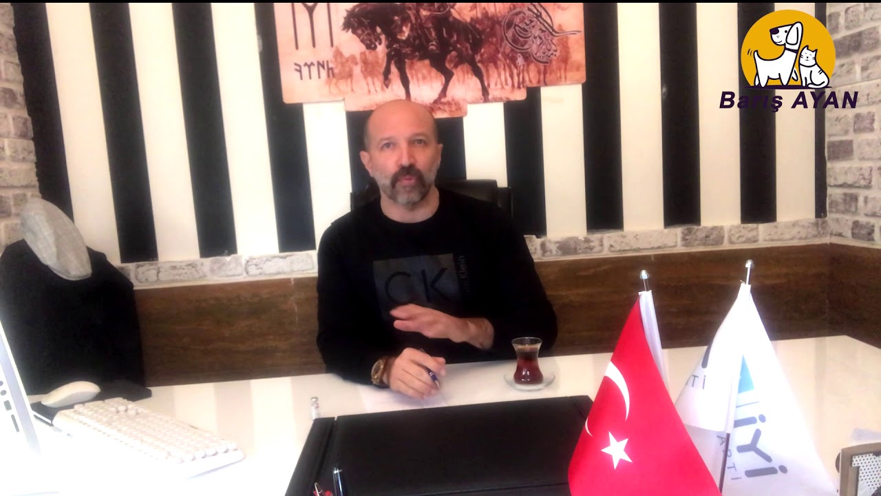 Hayvanlarda Kuduz Hastalığı #kuduzaşısı, #kuduzbelirtileri, #kuduznasılanlaşılır, #kuduzkimbulmuş,