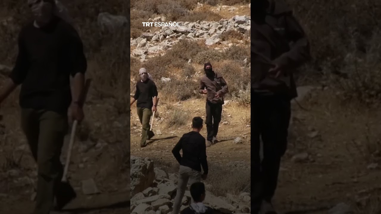 Colonos ilegales israel&iacute;es atacan a palestinos