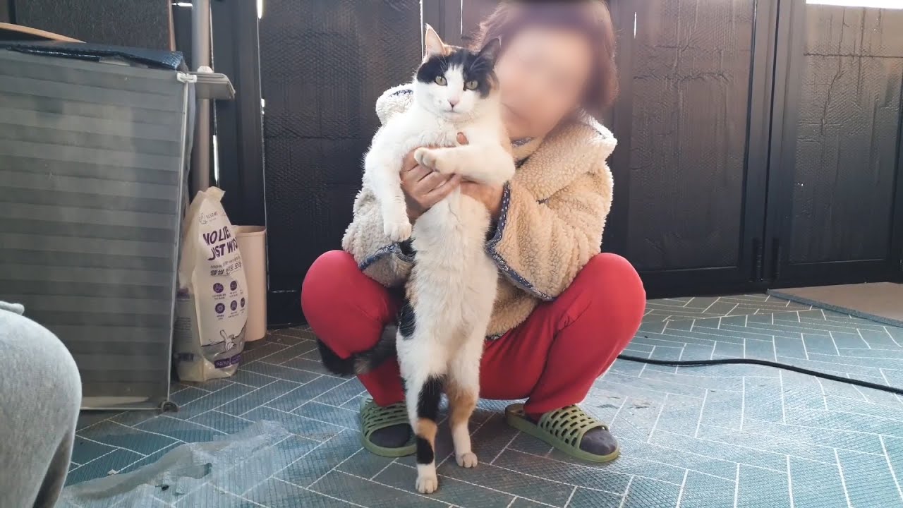 하루 종일 짜증만 내는 막내 딸내미 다루는 방법을 터득했어요...!