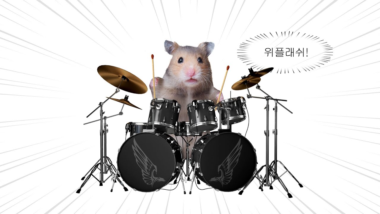 드럼맛 재즈!