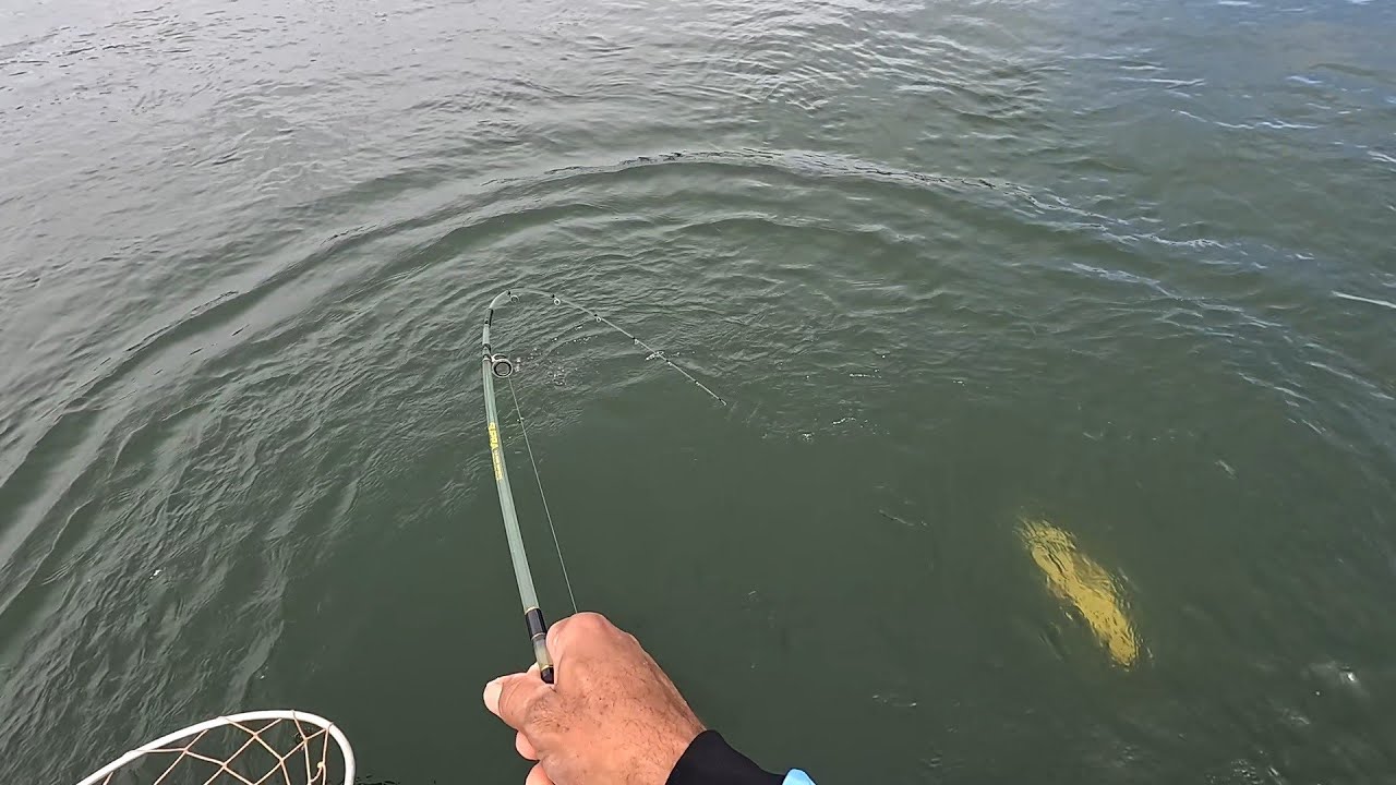 Que adrenalina foi essa! desespero tomou conta esse peixe nos nunca pegou Rio grande Pescaria 