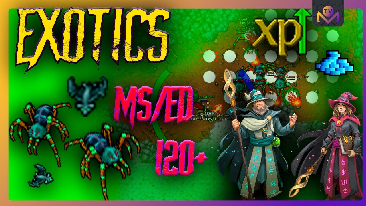 EXOTIC CAVE - MS/ED 120+ (1.1KK EXP RAW - 200K PROFIT) - GUIA DE HUNT E DICAS 2023