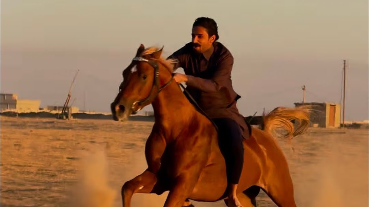 طلعة خيل كاملة مع سباق 