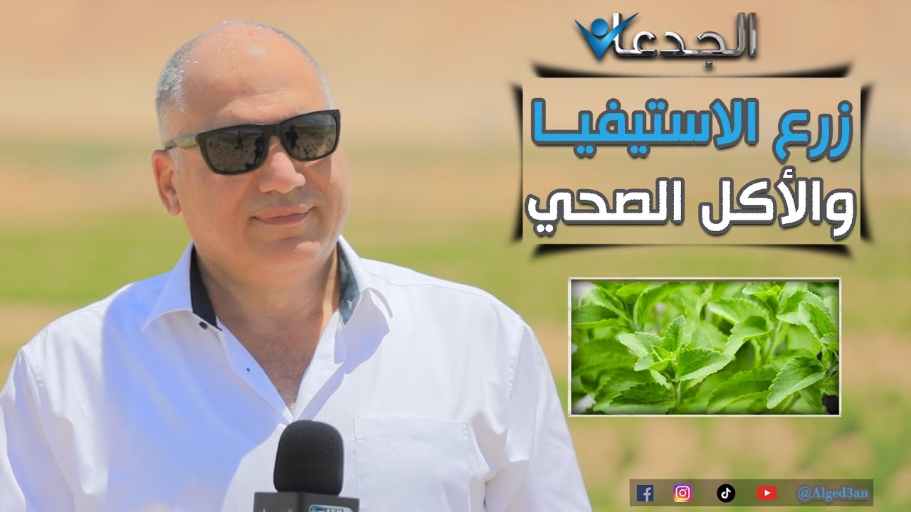 فوزي الدغيدي.. جراح شهير زرع الاستيفيا واستصلح 1000 فدان .. برافو بجد