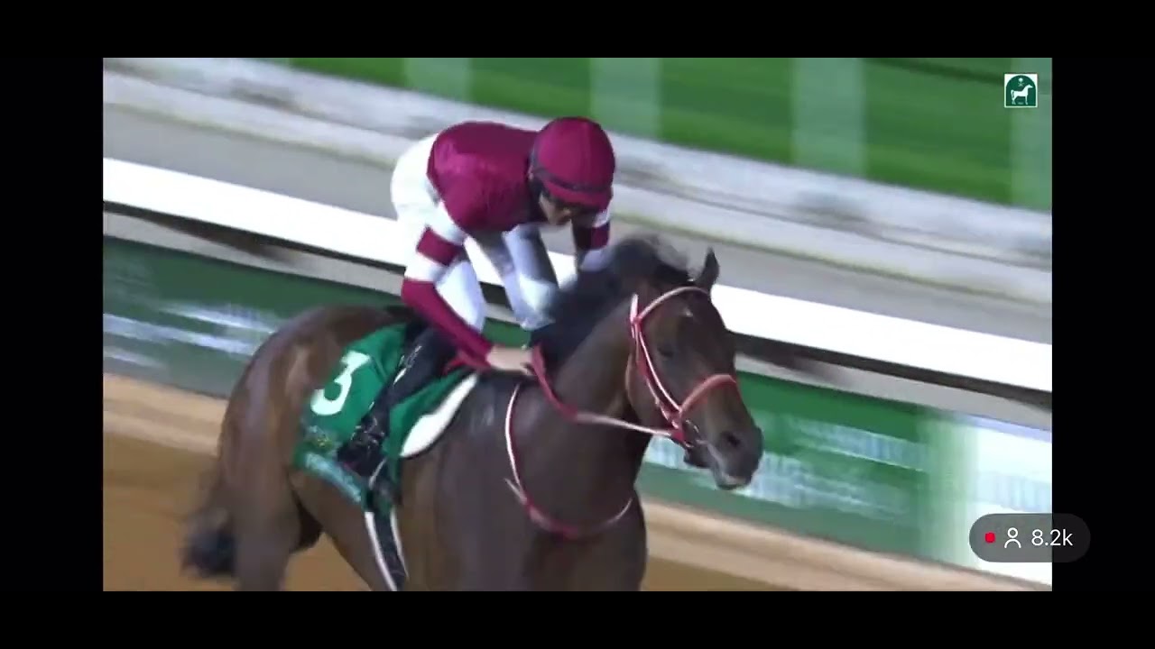Forever young top dirt horse win again saudi cup 2026#foreveryoung#saudicup#horseracing#world