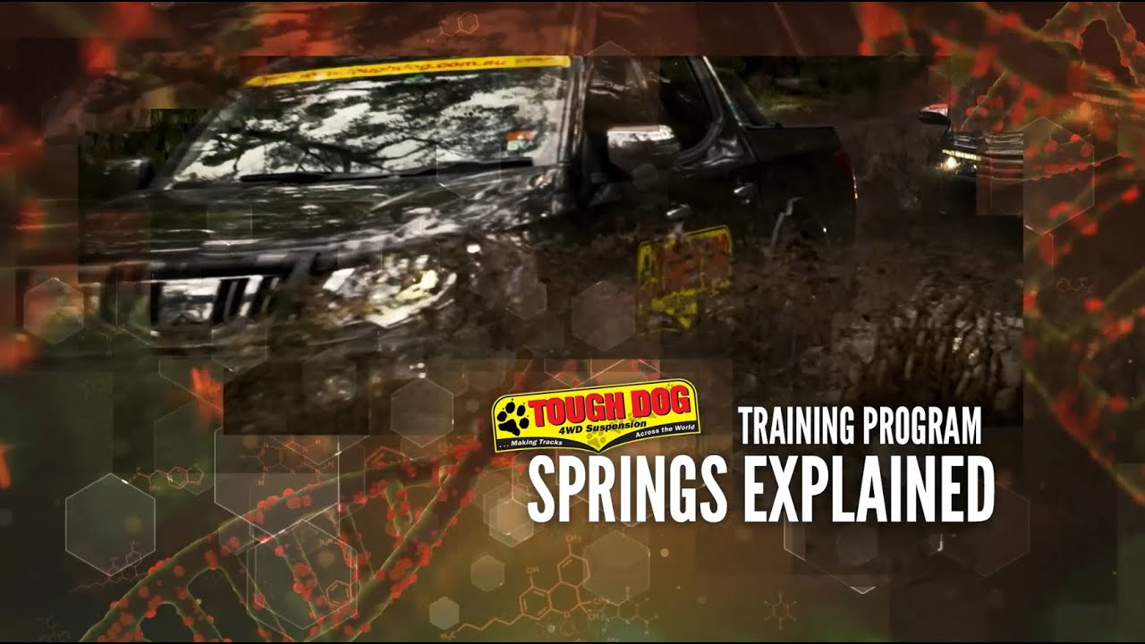 Tough Dog Training - Springs Explained