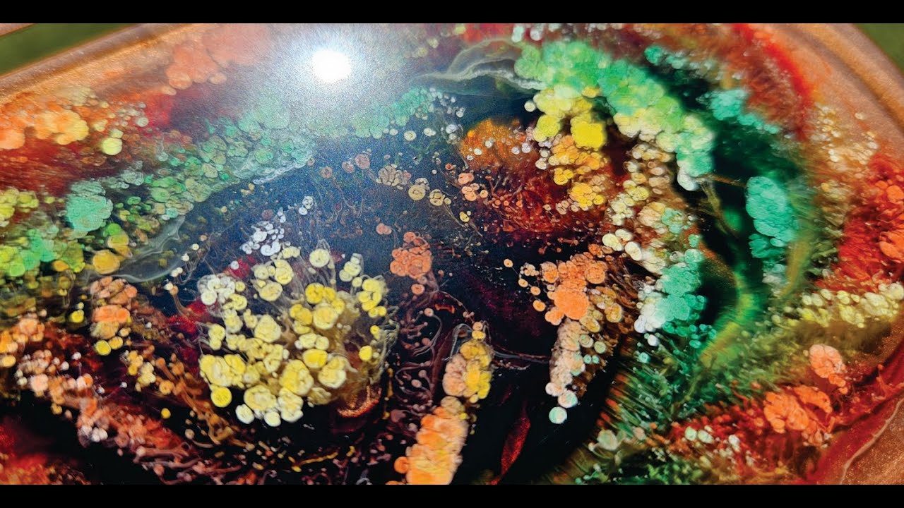 The Trays of Petri