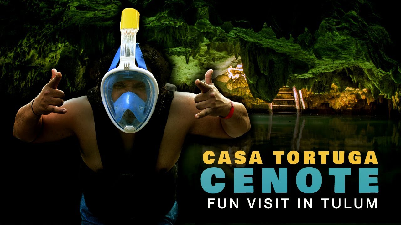Let Me Put You On to Casa Tortuga Cenotes Tour